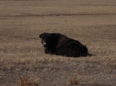 2-x-2009-wyprawa-do-mongolii-26