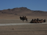 2-x-2009-wyprawa-do-mongolii-32