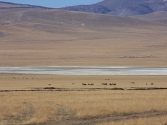 2-x-2009-wyprawa-do-mongolii-36