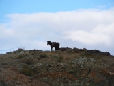 24-ix-2009-wyprawa-do-mongolii-12