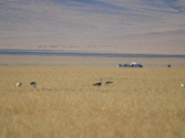 mongolia_wyprawa_11