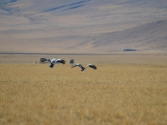 mongolia_wyprawa_12