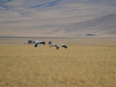 mongolia_wyprawa_12