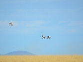 mongolia_wyprawa_13