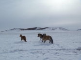 mongolia_wyprawa_78