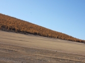 krajobrazy-mongolia-selenge-2009-64