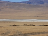 krajobrazy-mongolia-selenge-2009-66