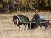 ludzie-selenge-2009-mongolia-35