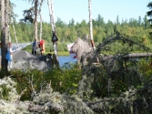monolia-bolka-uryna-36