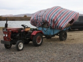 Przeprowadzka pasterzy przez rzekę Onon. Mongolia, Chentej 2010