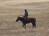 Jeździec z arkanem do chwytania zwierząt. Mongolia, Chentej 2010