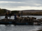 Przeprawa przez rzekę Onon. Mongolia, Chentej 2010