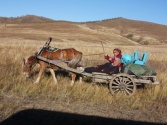 Przeprowadzka babci i dziadka. Mongolia, Chentej 2010