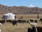 zycie-codzienne-selenge-2009-mongolia-11