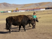 zycie-codzienne-selenge-2009-mongolia-46