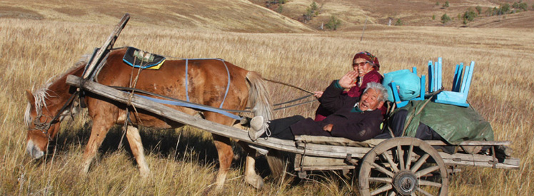 Tak tez wygląda transport w Mongolii