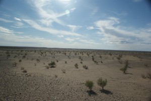 Zdjęcia z pustyni Gobi w Mongolii