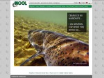 INGOL – wędkarskie wyprawy do Mongolii
