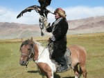 Golden Eagle Festiwal polowanie z orłem na wilki