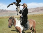 Golden Eagle Festiwal polowanie z orłem na wilki