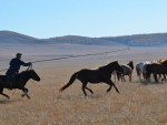 Wyprawa nad Onon i Balcz październik 2012