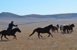 Wyprawa nad Onon i Balcz październik 2012